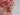 161274454_2182739315195359_4132613158263951661_o.jpg