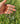 242036600_2333631163439506_8672746940448758608_n.jpg