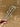 293612921_2579444288858191_2618937226028136415_n.jpg