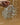 295499131_2587832401352713_4298097462704905870_n.jpg