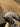 324412268_888263602616033_6810188148897264028_n