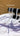 81633021_1760568237412471_3308012196818059264_o.jpg