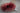 86456420_1801421116660516_7929680750033502208_o.jpg