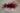 86615302_1801421159993845_7061711053997998080_o.jpg